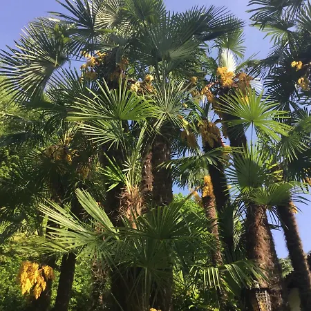 Σπίτι διακοπών Mon In Vista A Lugano-melide Melide