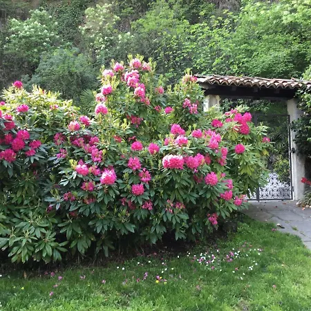 Mon In Vista A Lugano-melide Σπίτι διακοπών *